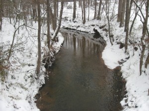 Our neighborhood creek with snow.