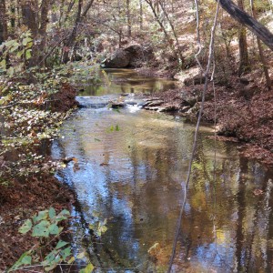 The creek is beautiful in every season.