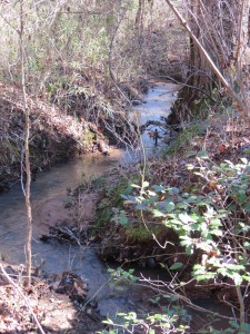 The water in this little creek will eventually end up in the ocean. 