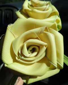 The Gullah Man walked up to my family and handed me this rose.