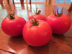 These tomatoes had some dirt on them from the garden, but God made dirt!