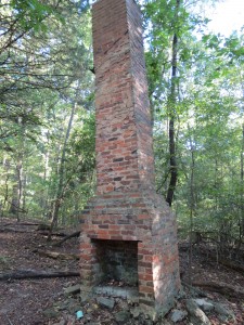 There is nothing left of the house, but the chimney is still standing. 