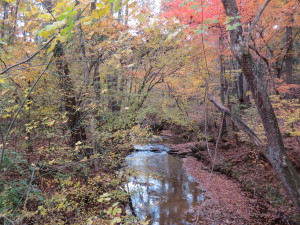 This little creek is beautiful in the fall.