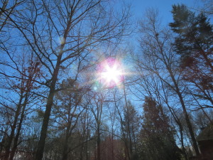Sunny days in January, with temps at 66 degrees are a gift to appreciate. 