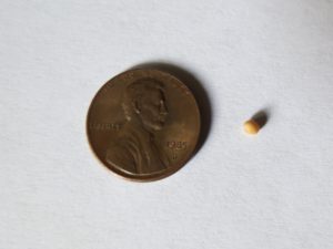 When we look at the actual size of a mustard seed, it changes everything.